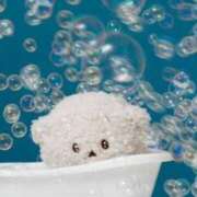 ヒメ日記 2026/04/15 18:16 投稿 心花【コノハ】 輝女