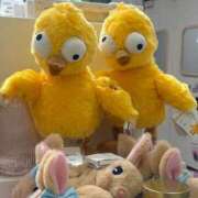 ヒメ日記 2026/04/16 18:31 投稿 心花【コノハ】 輝女