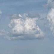 ヒメ日記 2026/05/02 22:58 投稿 心花【コノハ】 輝女