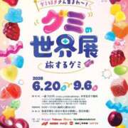 ヒメ日記 2026/05/04 20:30 投稿 心花【コノハ】 輝女