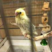 ヒメ日記 2025/10/12 16:40 投稿 滝川れいか(たきがわれいか) 鶯谷ナンバーワン