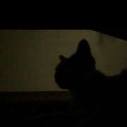 ヒメ日記 2025/10/29 14:30 投稿 滝川れいか(たきがわれいか) 鶯谷ナンバーワン