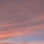 ヒメ日記 2025/10/30 01:00 投稿 滝川れいか(たきがわれいか) 鶯谷ナンバーワン