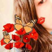 ヒメ日記 2025/11/16 12:20 投稿 滝川れいか(たきがわれいか) 鶯谷ナンバーワン