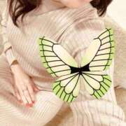 ヒメ日記 2025/12/15 08:20 投稿 滝川れいか(たきがわれいか) 鶯谷ナンバーワン