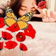 滝川れいか(たきがわれいか) 出会いと再会と💓 鶯谷ナンバーワン