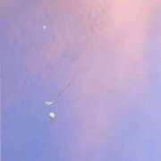 ヒメ日記 2025/10/29 21:00 投稿 さり 奥鉄オクテツ東京店（デリヘル市場）