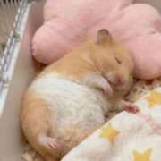 ヒメ日記 2025/12/13 19:13 投稿 セイラ ニューグランド