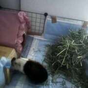 ヒメ日記 2025/12/17 16:03 投稿 セイラ ニューグランド