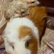 ヒメ日記 2025/12/17 20:13 投稿 セイラ ニューグランド