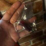 ヒメ日記 2025/12/28 17:14 投稿 セイラ ニューグランド