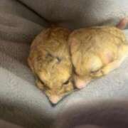 ヒメ日記 2025/12/28 21:43 投稿 セイラ ニューグランド