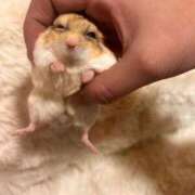 ヒメ日記 2025/12/30 19:53 投稿 セイラ ニューグランド