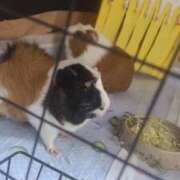 ヒメ日記 2026/01/17 21:55 投稿 セイラ ニューグランド