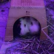 ヒメ日記 2026/02/02 19:13 投稿 セイラ ニューグランド