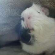 ヒメ日記 2026/02/25 13:33 投稿 セイラ ニューグランド