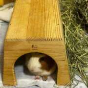 ヒメ日記 2026/02/27 05:41 投稿 セイラ ニューグランド