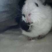 ヒメ日記 2026/02/28 05:53 投稿 セイラ ニューグランド