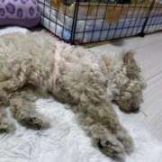 ヒメ日記 2026/02/28 23:23 投稿 セイラ ニューグランド