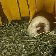 ヒメ日記 2026/03/06 21:23 投稿 セイラ ニューグランド