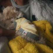 ヒメ日記 2026/03/13 06:03 投稿 セイラ ニューグランド