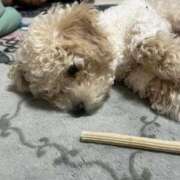 ヒメ日記 2026/03/18 18:23 投稿 セイラ ニューグランド