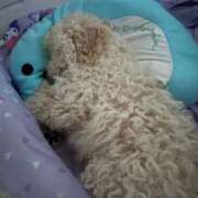 ヒメ日記 2026/03/25 19:33 投稿 セイラ ニューグランド