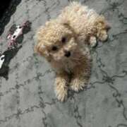 ヒメ日記 2026/03/28 11:15 投稿 セイラ ニューグランド