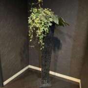 ヒメ日記 2025/09/06 13:48 投稿 さりな◆感度抜群Ｆカップ♪ エピソード倉敷