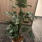 さりな◆感度抜群Ｆカップ♪ タイムゾーンのお客様💕 エピソード倉敷