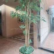 さりな◆感度抜群Ｆカップ♪ クリスタルのお客様💕 エピソード倉敷