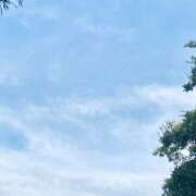 ヒメ日記 2025/10/30 11:20 投稿 佐藤しお セカンドパートナー