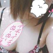 ヒメ日記 2025/12/08 14:01 投稿 (コスパ)華田せつな 風俗イキタイいわき店