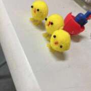 ヒメ日記 2026/02/09 13:51 投稿 (コスパ)華田せつな 風俗イキタイいわき店