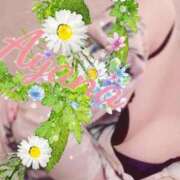 ヒメ日記 2025/08/31 12:19 投稿 あやな 麗しい人妻 新宿本店