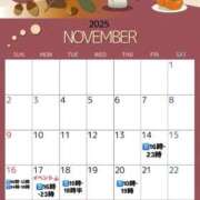 ヒメ日記 2025/11/13 12:42 投稿 ひよ 白いぽっちゃりさん