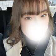 ヒメ日記 2025/11/20 10:02 投稿 ひよ 白いぽっちゃりさん