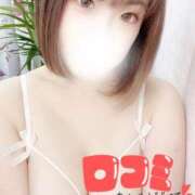 ヒメ日記 2026/03/12 14:44 投稿 ひよ 白いぽっちゃりさん