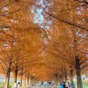 ヒメ日記 2025/11/19 21:13 投稿 れいか ノーブラで誘惑する奥さん谷九・日本橋