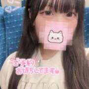 ヒメ日記 2025/09/11 11:56 投稿 猫耳うた 奴隷志願！変態調教飼育クラブ梅田店