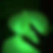 ヒメ日記 2025/09/26 03:28 投稿 のん あいらぶゆー