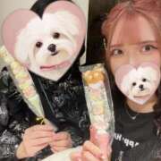 ヒメ日記 2025/08/30 01:01 投稿 れも ニューティアラ