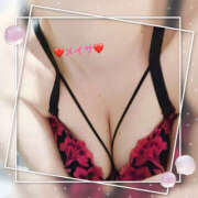 ヒメ日記 2025/10/11 12:10 投稿 めいさ 若妻淫乱倶楽部