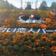 ヒメ日記 2025/11/13 09:04 投稿 はるひ チューリップ姫路店