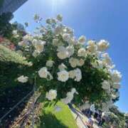 ヒメ日記 2025/10/23 09:48 投稿 うみ『ぽっちゃりコース』 素人学園＠