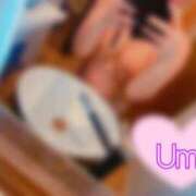 ヒメ日記 2025/11/17 18:48 投稿 うみ『ぽっちゃりコース』 素人学園＠