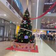 ヒメ日記 2025/12/01 17:33 投稿 うみ『ぽっちゃりコース』 素人学園＠