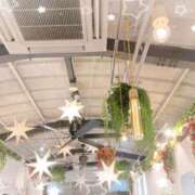 春風みい 次回お会い出来る日は( ˶´⚰︎`˵ ) セカンドパートナー