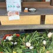 ヒメ日記 2025/12/24 19:31 投稿 五条　乃々香 イラマチーオ池袋店