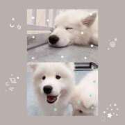 ヒメ日記 2025/09/12 11:36 投稿 ゆり ぷるるん小町 京橋店